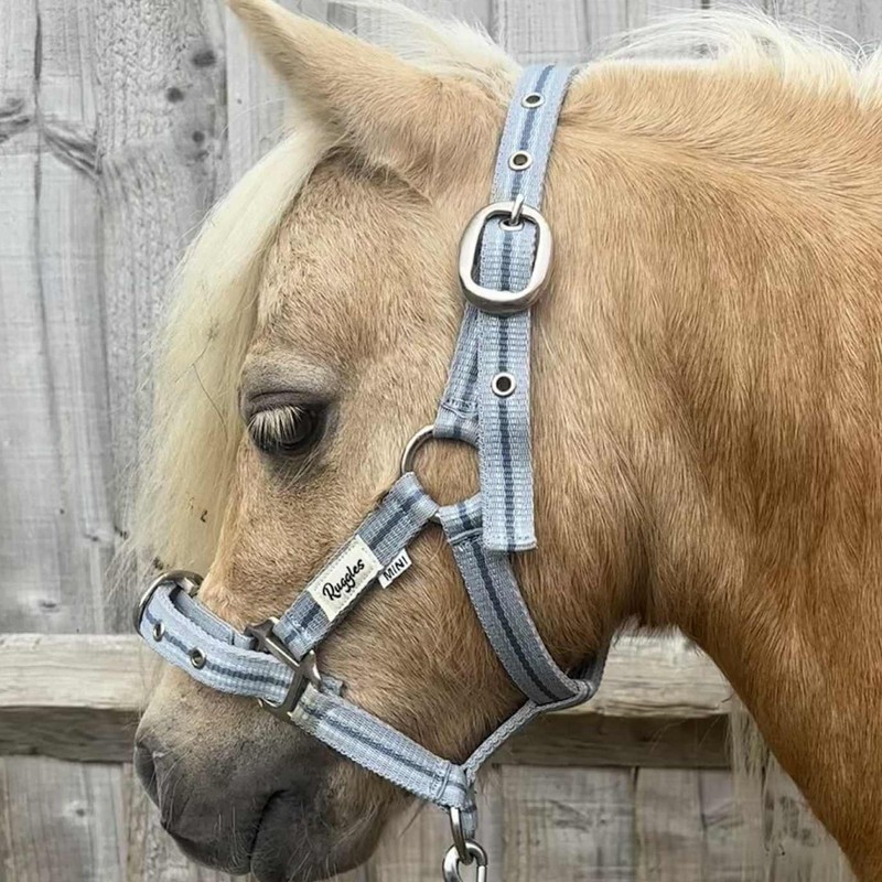 Ruggles Head Collar for Shetland Pony and Miniature Horses |