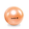 Pezziball Maxafe Exercise Ball 42, 53, 65, 75 cm All