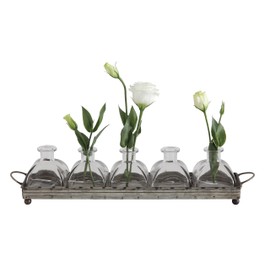 Creative Co-op Decorative Iron Rectangle Tray with Handles & 5 Glass Vases