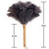 Aldwin Ostrich Feather Duster, 16 Inch Ostrich Feather Duster With