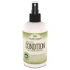 Taliah Waajid Shea-Coco Condition Daily Leave-in Conditioner 8 oz