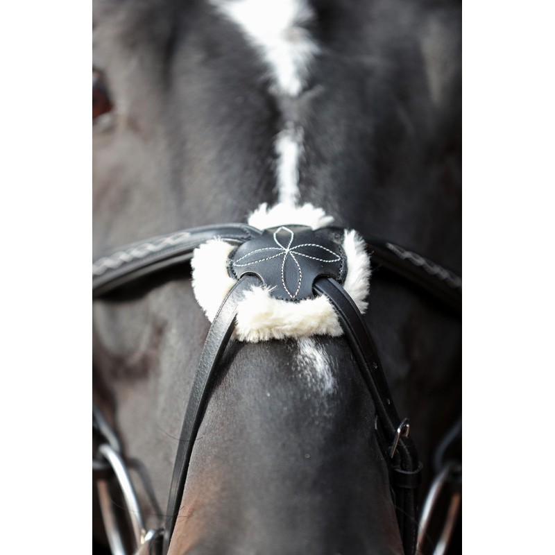 Cancun Bridle Black Pony