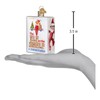 Old World Christmas The Elf On The Shelf Glass Ornament