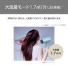 Tescom TD460A-P Dryer, Protected Ion, Equipped with Noise Suppression Mode,