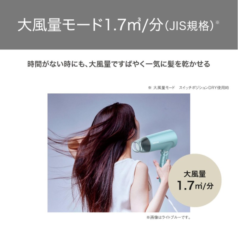 Tescom TD460A-P Dryer, Protected Ion, Equipped with Noise Suppression Mode,