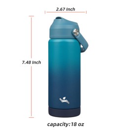 Konokyo Insulated Water Bottle with Straw Lid,18 oz Stainless Steel Vacuum Metal Bottle with Silicone Handle,Vast