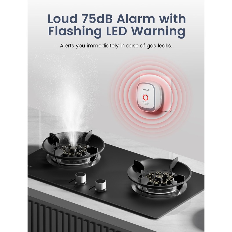 Fuel Gas Detector Plug In Elegant Design