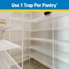 Raid Pantry & Flour Moth Trap (2 Pack)