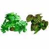 2 Pc Reptile Plants for Terrarium Decor,Amphibian Habitat Decor,Fake Plant
