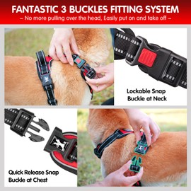 PoyPet Dog Harness and Leash Combo, Escape Proof No Pull Vest Harness, Reflective Adjustable Soft Padded Pet Harness with Handle for Small to Large Dogs(Red,S)