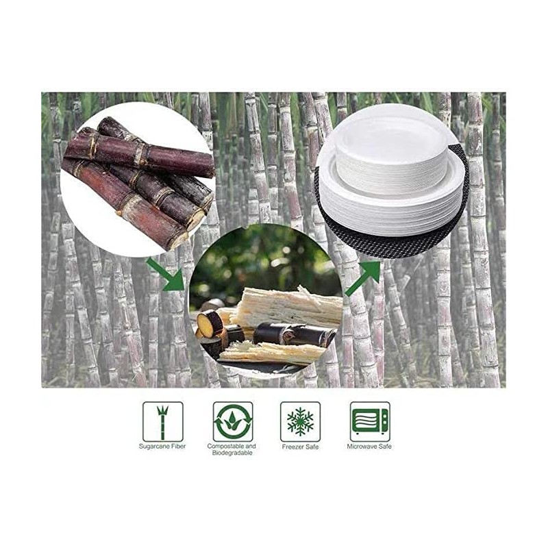 7 Inch Disposable Plates