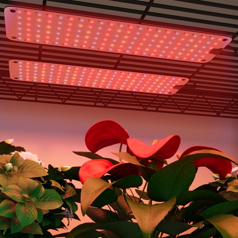 LED GROW LIGHT