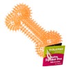 Gnawsome Medium Squeaker Bone for Dogs