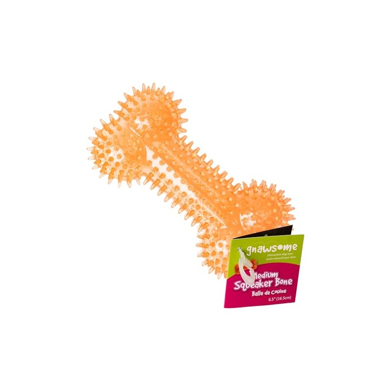 Gnawsome Medium Squeaker Bone for Dogs