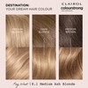 CLAIROL COLOUR STRONG PERMANENT HAIR DYE - 8.1 MEDIUM ASH