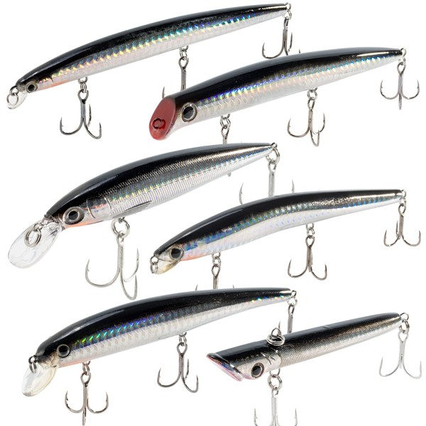Dr.Fish 6 PCS Sea Fishing Lures Set Minnow Pencil Jerbait Walker Popper Top water Lures Hard Baits Kit for Bass Perch Trout Mackerel Pike Holographic Laser Sea Bass Lures