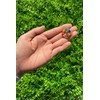 SDGs Badge, 0.8 inch (20 mm) Diameter, Smaller, Gold Cloisonne,