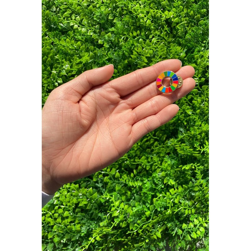 SDGs Badge, 0.8 inch (20 mm) Diameter, Smaller, Gold Cloisonne,