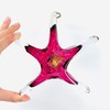 Luke Adams Glass | 5" Small Glass Birthstone Star |