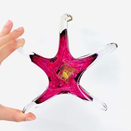 Luke Adams Glass | 5" Small Glass Birthstone Star | Handmade Suncatcher | Hanging Starfish Home Décor | Outdoor Garden Accent (June)