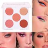 Mysense 5 Colors Face Blush Palette,Makeup Bright Shimmer Matte Powder