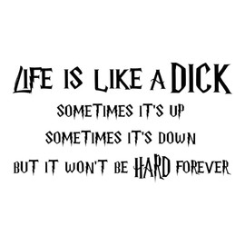 Life is Like a Dick - 12 Inch Black Vinyl Decal for Windows, Trucks, Cars, Laptops, Etc.