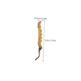 Kisangel 4pcs Cordyceps Model Simulated Medicinal Materials Supplies for Doctor Role Play Props