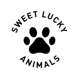 sweet lucky animals 1 Funny Greeting Card (Folding Card) 18 x 12 cm with Animal Motif, Hamster and 1 White Envelope - 100% Handmade Greeting Card with Saying Animal Motif Funny Positive Card Folding