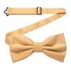 RBOCOTT Champagne Bow Tie Bowtie and Pocket Square Set for