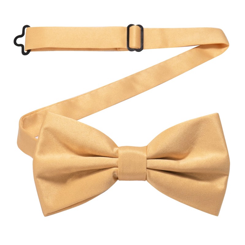 RBOCOTT Champagne Bow Tie Bowtie and Pocket Square Set for