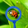 MOLIMOLLY Kids Jumbo Magnifying Glass with Stand- 6 Pieces,Ages 3+,