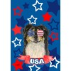 Border Collie - Best of Breed HHS Patriotic House Flag