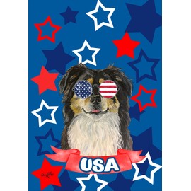 Border Collie - Best of Breed HHS Patriotic House Flag