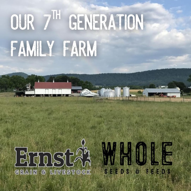 Ernst Grain & Livestock Non‑GMO Fine‑Ground Cornmeal – Premium Feed‑Grade