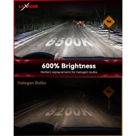Laxmas 9005 H11 Fog Bulbs Combo Kit, 9005/HB3 H8/H9/H16 Super Bright Bulbs, Plug and Play, Bulb with Cooling Fan, 50000 Hours Lifespan, Fog Light, Pack of 4