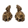 Feng Shui Resin Dragon Turtle Statue Set