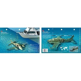 Innovative Scuba New Art to Media Underwater Waterproof 3D Dive Site Map - Cessna 310 in The Bahamas (8.5 x 5.5 Inches) (21.6 x 15cm)/LID