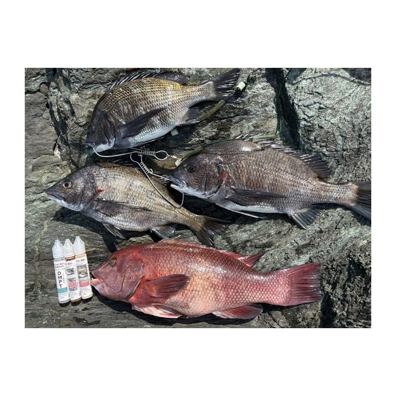 KAIRI Fish Formula Attractant Powder Bait, Machiesa, Dango, Fishing Bait,