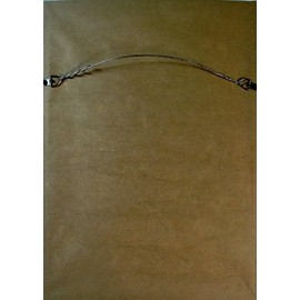 Conan the Barbarian Poster Framed