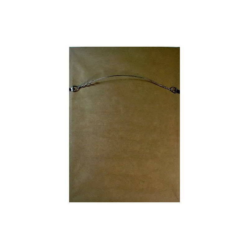 Conan the Barbarian Poster Framed