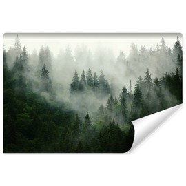 Muralo Photo Wallpaper Forest in Fog Wall Wallpaper Trees Green Nature Living Room Bedroom Dining Room Modern Wall Pictures XXL Landscape Panorama Wall Decoration (Non-Woven Fabric, Width 254 cm x