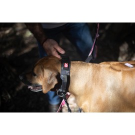 Tactical Collar (Large 17-22x1.5", Black Camo)