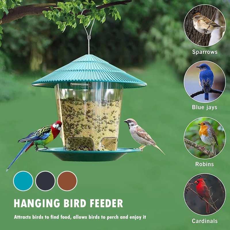 Hanging Bird Feeder Outdoor