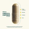 Rhodiola Maca Life 360+ Fuel Up Blend 60 Cápsulas Cordyceps