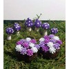Fairy Garden Accessories. Set of 8. Purple Miniature Mushrooms and