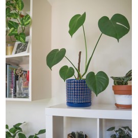 D'vine Dev Set of 2 Ceramic Planter Pots with Drainage Hole and Saucer, 4.5 Inch 6 Inch Plant Pots for Indoor Houseplants, Blue, 99-A-6