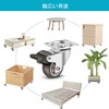 Zalslei Plate Type Caster with Brake, 1.25 Inches, 360 Degree