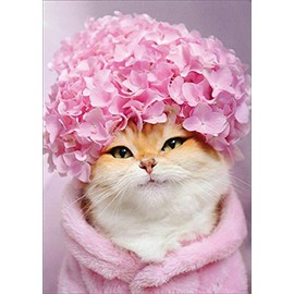 Avanti Press Kitty Cat : Pink Hydrangea Cap Feminine Humorous : Funny Birthday Card for Woman : Her