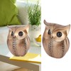 Owl Statue Figurine Ornament Innovative Resin Animal Sculpture Art Crafts
