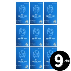 Living Factory h partner company Anguk Health Joint MSM 2000 MSM total 9 month supply / 안국건강 관절 MSM 2000 엠에스엠 총 9개월분